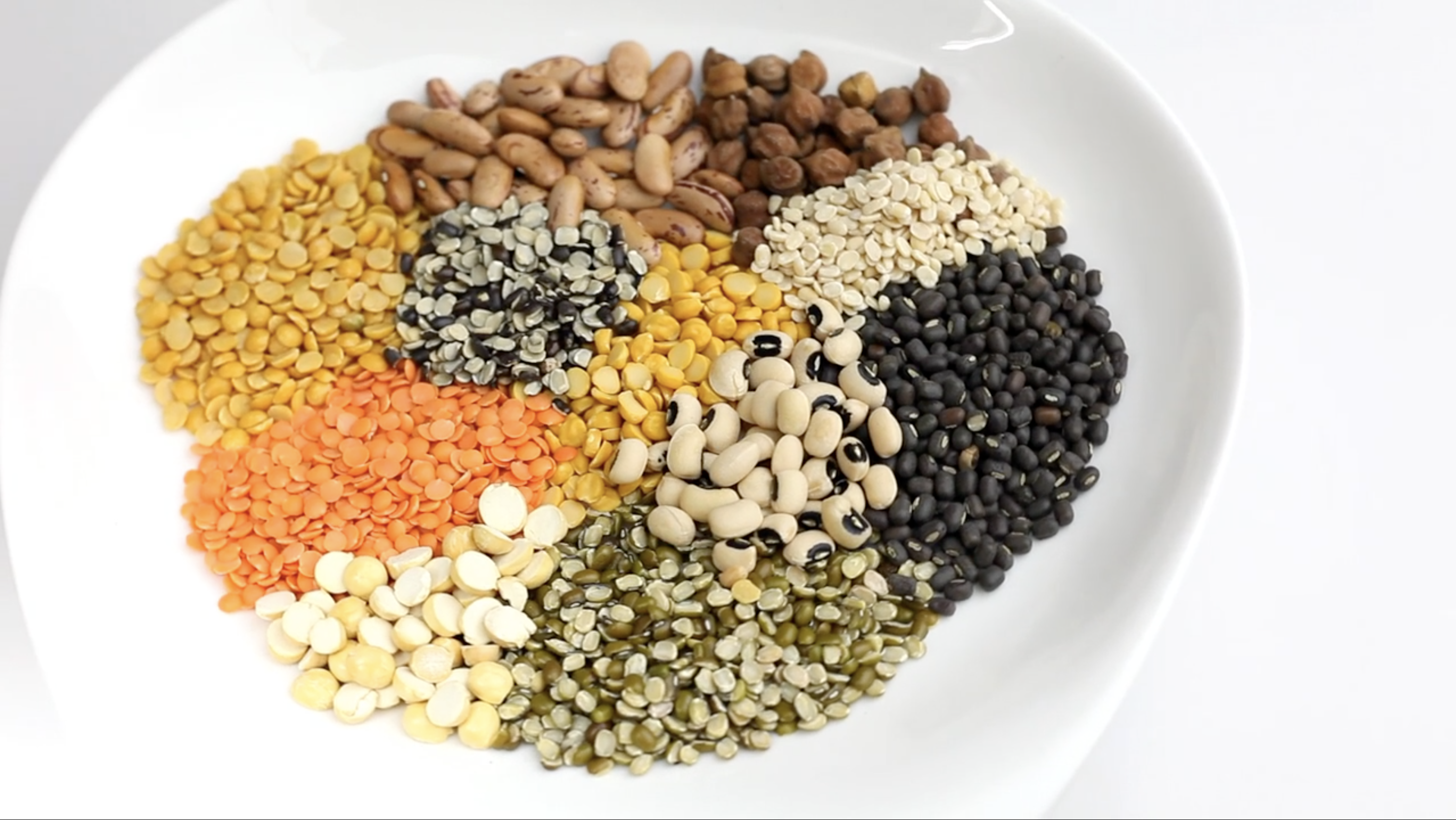 IndoGlobe Agro Commodities Background